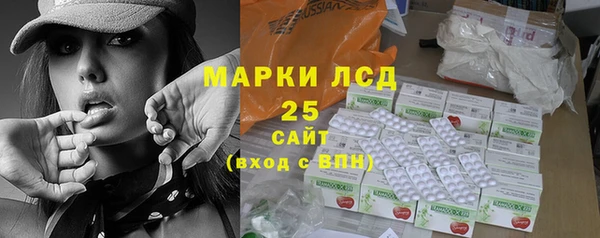 хмурый Ладушкин